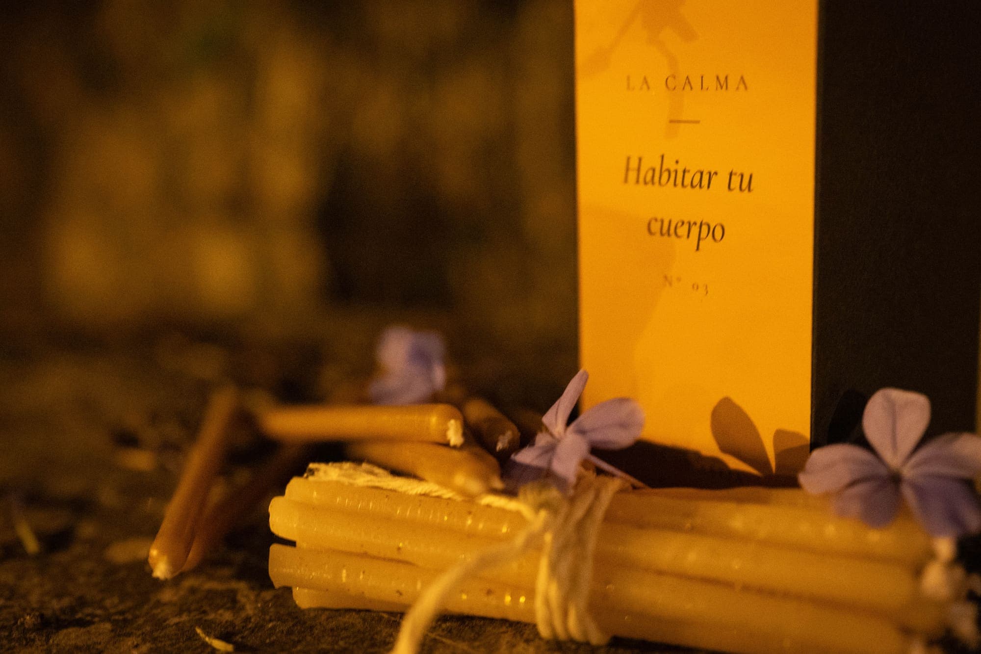 Habitar tu cuerpo — photograph 2 of 6