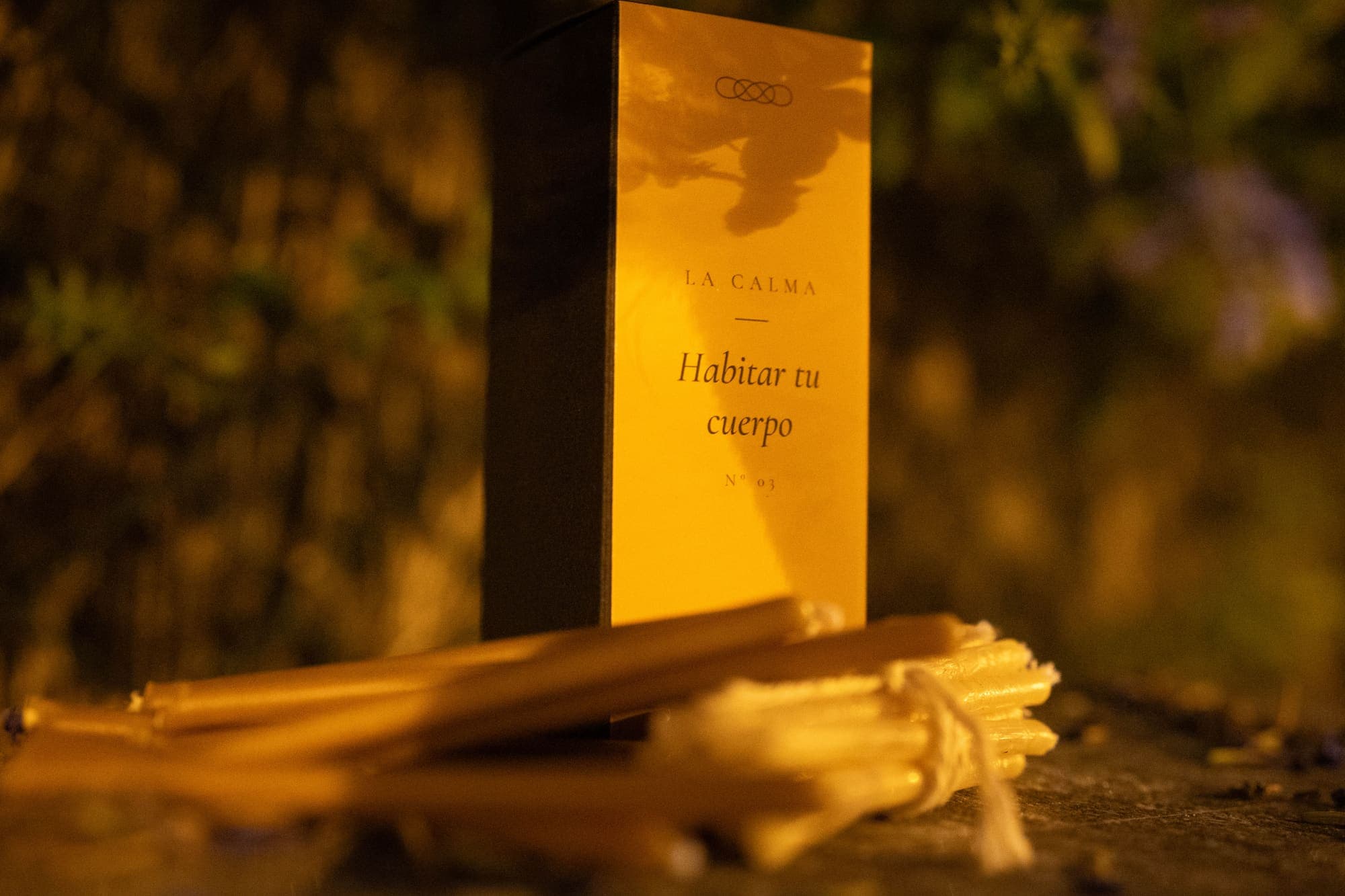 Habitar tu cuerpo — photograph 4 of 6