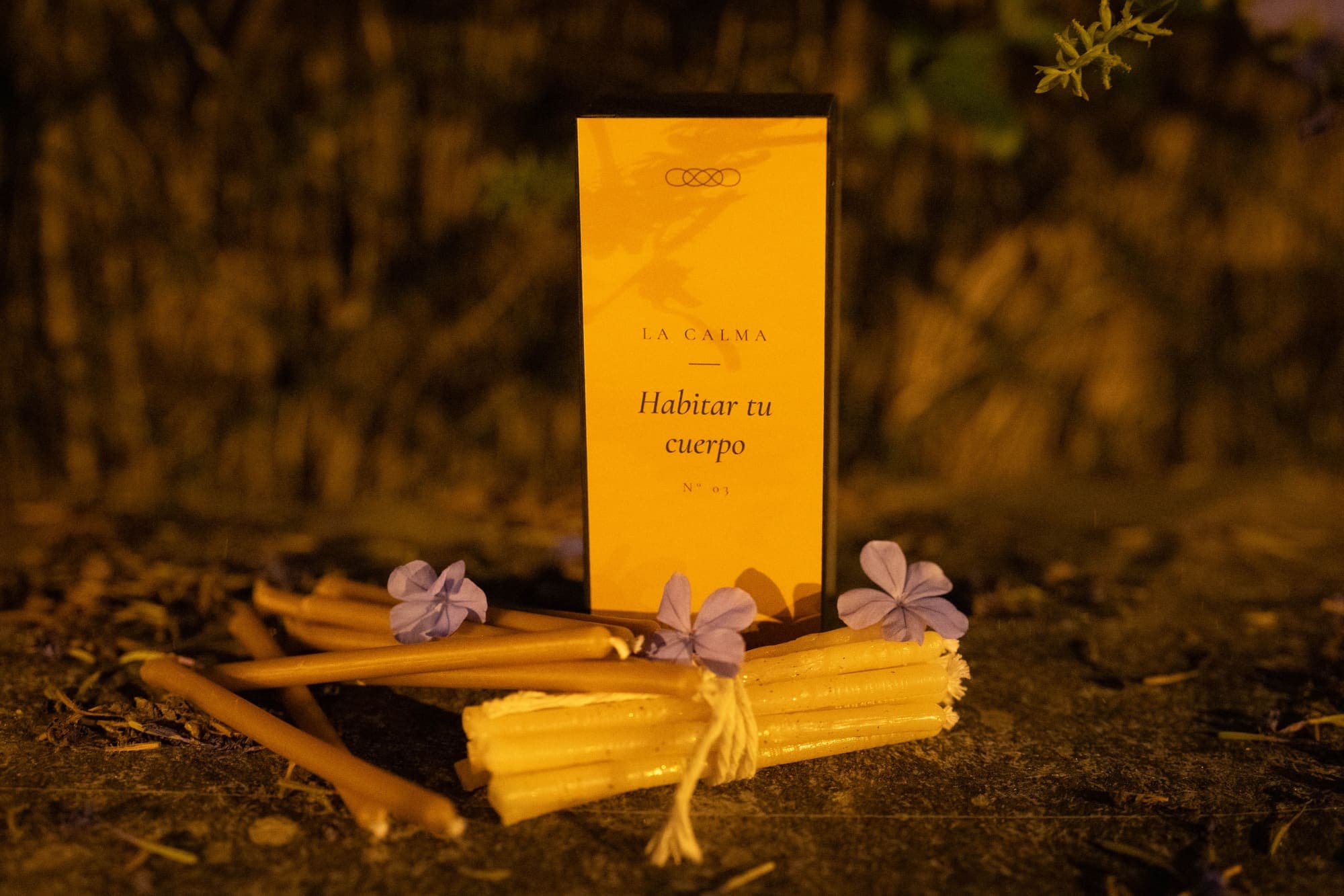 Habitar tu cuerpo — photograph 1 of 6