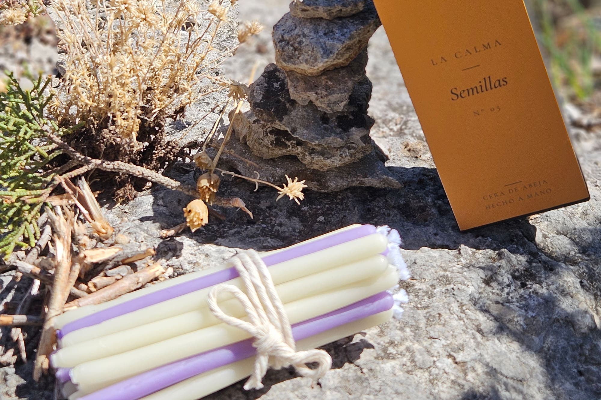 Semillas — photograph 6 of 7