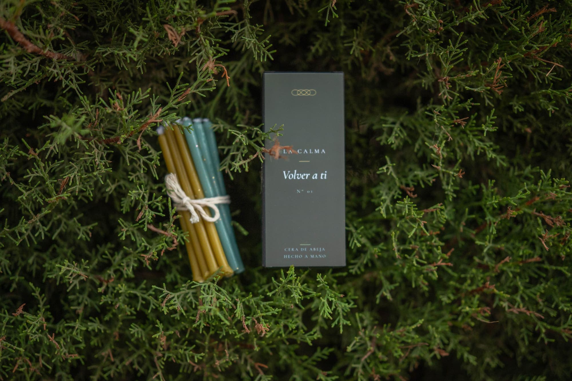 Volver a ti — photograph 1 of 4